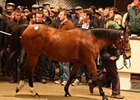 Sumora sold for 2,400,000 guineas to top the second day of the Tattersalls December Mare Sale.