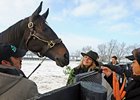 Zenyatta Walks, Jogs, Runs (with Video) Zenyatta Walks, Jogs, Runs (with Video)