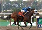 Daaher Conquers Jerome Handicap With Ease Daaher Conquers Jerome Handicap With Ease