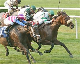 Wonder Again Drives to Noble Damsel Win Wonder Again Drives to Noble Damsel Win