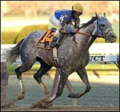 Evening Attire Looking to Dress Things Up in 2004 Aqueduct Handicap Evening Attire Looking to Dress Things Up in 2004 Aqueduct Handicap