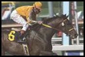 Came Home Back on Course for Santa Anita Derby Came Home Back on Course for Santa Anita Derby