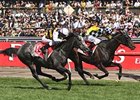 Viewed (inside, checkered silks), edges out Bauer in the Melbourne Cup.