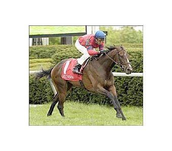 Appalachian Stakes winner Melhor Ainda heads strong field for Beverly D.