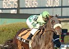 Spice Island wins Long Island Handicap.
