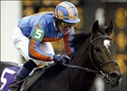 High Chaparral