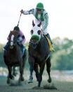 Officer Could be the Overlay of the Year in Futurity Officer Could be the Overlay of the Year in Futurity