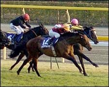 Alkaased Noses Out Heart's Cry in Record-Setting Japan Cup Alkaased Noses Out Heart's Cry in Record-Setting Japan Cup