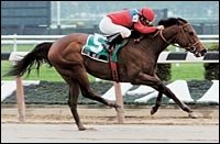 Xtra Heat Foals Gone West Colt Xtra Heat Foals Gone West Colt