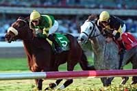 Spook Express Upsets Gaviola in Suwannee River Handicap Spook Express Upsets Gaviola in Suwannee River Handicap