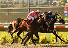 Unusual Suspect (inside) outfights Richard's Kid to take the Cougar II at Del Mar. <br><a target="blank" href="http://www.bloodhorse.com/horse-racing/photo-store?ref=http%3A%2F%2Fpictopia.com%2Fperl%2Fgal%3Fprovider_id%3D368%26ptp_photo_id%3D8387928%26ref%3Dstory">Order This Photo</a>