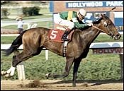 Three Chimneys Broodmare Gorgeous Dead Three Chimneys Broodmare Gorgeous Dead