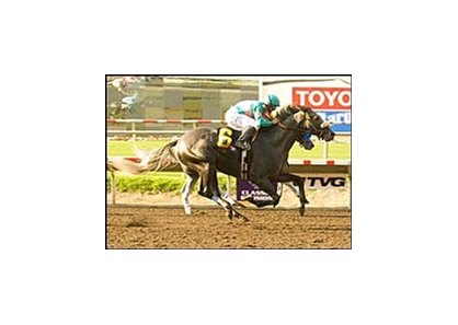 Giacomo tallied his first win since the 2005 Kentucky Derby.
