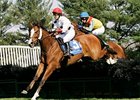 Sovereign Duty Rules In 'Royal Chase' Sovereign Duty Rules In 'Royal Chase'