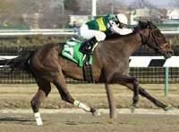 Pompeii Rebounds For Rare Treat Victory Pompeii Rebounds For Rare Treat Victory