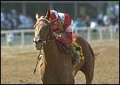 Delahoussaye Sweeps Saturday's Hollywood Stakes Delahoussaye Sweeps Saturday's Hollywood Stakes