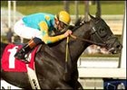 E Z Warrior extends unbeaten streak with San MIguel win.