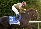 Hot Cha Cha comes into the Mrs. Revere off a victory in the Queen Elizabeth II Challenge Cup.
<br><a target="blank" href="http://www.bloodhorse.com/horse-racing/photo-store?ref=http%3A%2F%2Fpictopia.com%2Fperl%2Fgal%3Fprovider_id%3D368%26ptp_photo_id%3D8560492%26ref%3Dstory">Order This Photo</a>