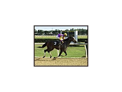 Mountain Forum romps home victorious in the OBS Championship Stakes.