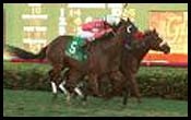 Crash Course Drives to Mac Diarmida Victory Crash Course Drives to Mac Diarmida Victory