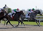 Informed Decision defeated Ventura in last year's Vinery Madison.