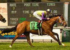 Battle of Hastings has been installed as a 2-1 favorite in the fifth running of the Colonial Turf Cup at Colonial Downs.