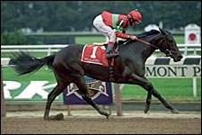 Wild Spirit's Owner Leaning Toward Running in Distaff Wild Spirit's Owner Leaning Toward Running in Distaff