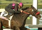 Last year's Sunshine Millions Classic winner tries his luck in Saturday's SM Turf.