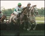 Praise the Prince Jumps to Victory at Belmont Praise the Prince Jumps to Victory at Belmont