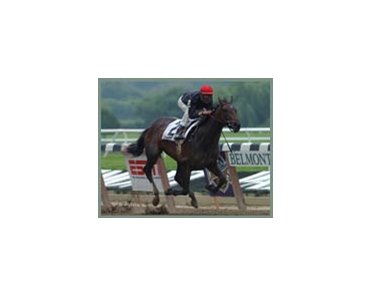 Storm Flag Flying, impresses with Matron victory.