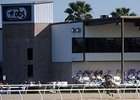 The Juvenile selling season begins at OBS on Feb. 12.