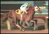 Grade I Winner Habibti Retired Grade I Winner Habibti Retired