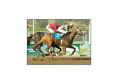 Stormello upset the Norfolk Breeders' Cup under Kent Desormeaux.