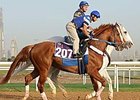 Curlin has drawn post 12 for the Dubai World Cup (UAE-I).