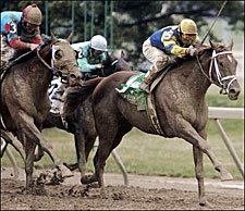 Kentucky Derby Trail: Visibility Zero Kentucky Derby Trail: Visibility Zero
