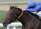 Iffraaj Sets European Sire Record Iffraaj Sets European Sire Record