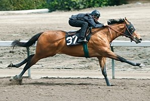 Data Digest: Barretts March Selected 2YO Data Digest: Barretts March Selected 2YO