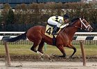 Nite Light cruises in the Gallant Fox.<br><a target="blank" href="http://www.bloodhorse.com/horse-racing/photo-store?ref=http%3A%2F%2Fpictopia.com%2Fperl%2Fgal%3Fprovider_id%3D368%26ptp_photo_id%3D3156602%26ref%3Dstory">Order This Photo</a>