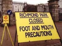Britain, Ireland Suspend Racing Because of Disease Britain, Ireland Suspend Racing Because of Disease