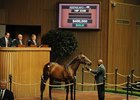 Indian Charlie Colt Tops at Keeneland Indian Charlie Colt Tops at Keeneland