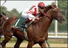 Caesar Rodney Stakes winner Silver Tree will be one of the favorites in the Fourstardave.