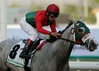 Graded Stakes Winner Diamond Stripes Euthanized Graded Stakes Winner Diamond Stripes Euthanized