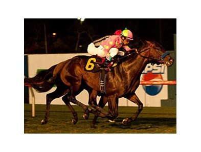 Midnight Interlude outfights Surrey Star to win the Tsunami Slew Stakes.<br><a target="blank" href="http://www.bloodhorse.com/horse-racing/photo-store?ref=http%3A%2F%2Fpictopia.com%2Fperl%2Fgal%3Fprovider_id%3D368%26ptp_photo_id%3D9569212%26ref%3Dstory">Order This Photo</a>