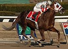 Kazoo won the 2006 Toboggan Handicap (gr. III) at Aqueduct.