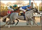 Stellar Jayne concluded her career with this victory in the Top Flight.