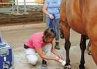 Extracorporeal shock wave therapy was one of the topics discussed at the meeting of the Association of Racing Commissioners International in Saratoga Springs.