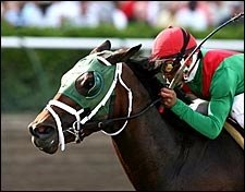King of the Roxy Rules Hutcheson Stakes King of the Roxy Rules Hutcheson Stakes