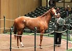 Lady Alexander was the most expensive horse of the third session of the Keeneland November breeding stock sale, selling for $410,000.