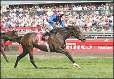 Makybe Diva Retired After Third Straight Melbourne Cup Win Makybe Diva Retired After Third Straight Melbourne Cup Win