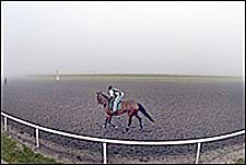 Derby Hopefuls Flock to Palm Meadows Derby Hopefuls Flock to Palm Meadows